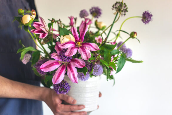 Une femme tenant un pot de fleur de clématite et de passiflore pour les planter dans un jardin potager