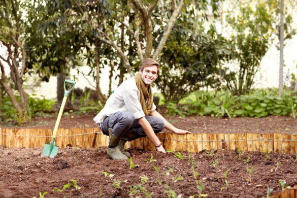 Un jeune homme qui plante des légumes sur une butte de permaculture