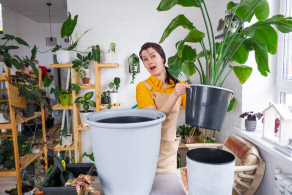 Une jeune femme qui choisi les plantes à mettre dans un pot haut et étroit