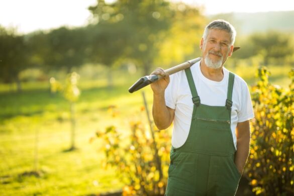 Paysagiste travaillant dans un jardin entretenu et verdoyant