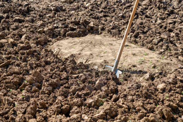 Une bêche s’enfonce dans un sol compact et casse de grosses mottes de terre en blocs plus fins