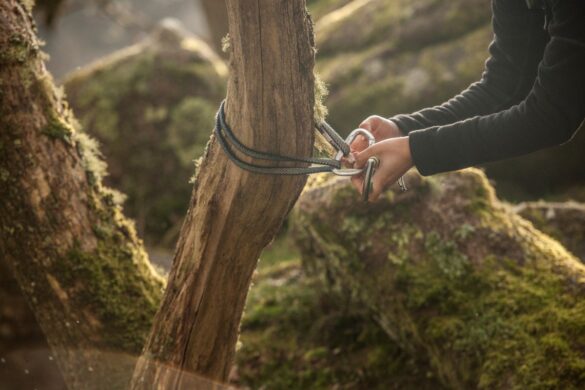 Une personne qui attache un tire-fort à un arbre