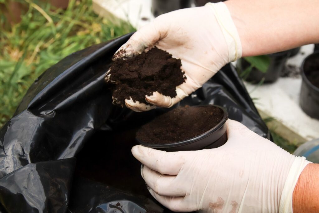 Main d'une personne mettant de la terre dans un pot