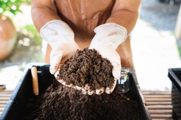 Une personne faisant du compostage et prend des terres avec des mains gantées