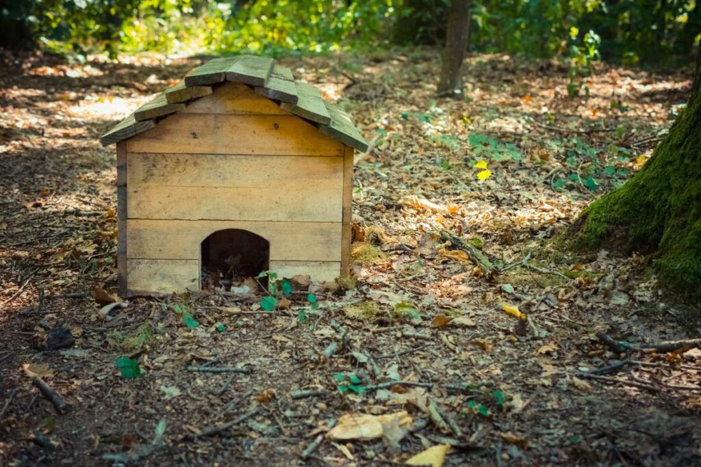 Un abri de hérisson dans le jardin
