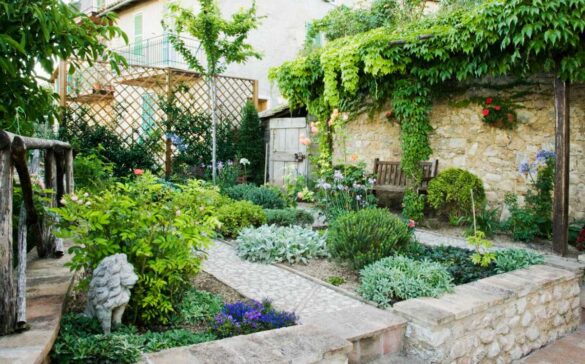 Un beau jardin avec des plantes vertes