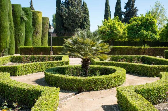 Un beau paysage avec du palmier et des plantes vertes